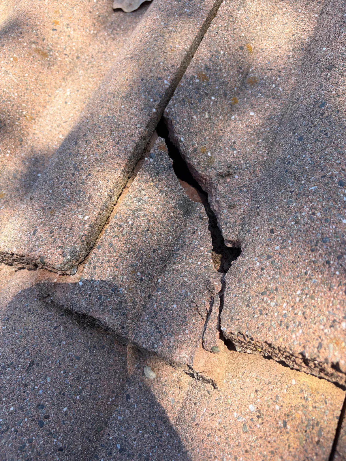 A cracked concrete roof tile, the kind of damage tree contact and debris cause on Chico tile roofs