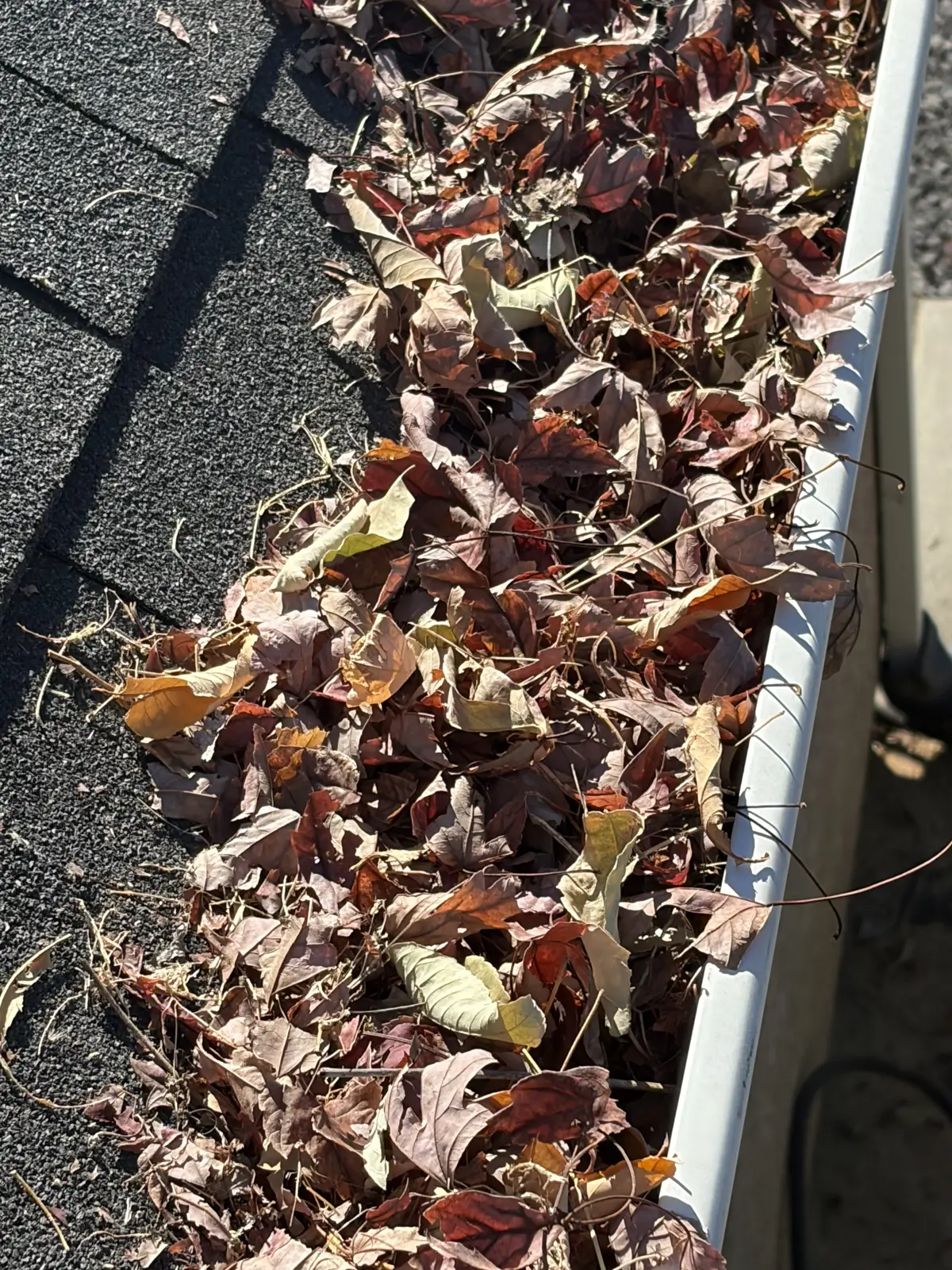 Before: residential gutter packed with fall leaves