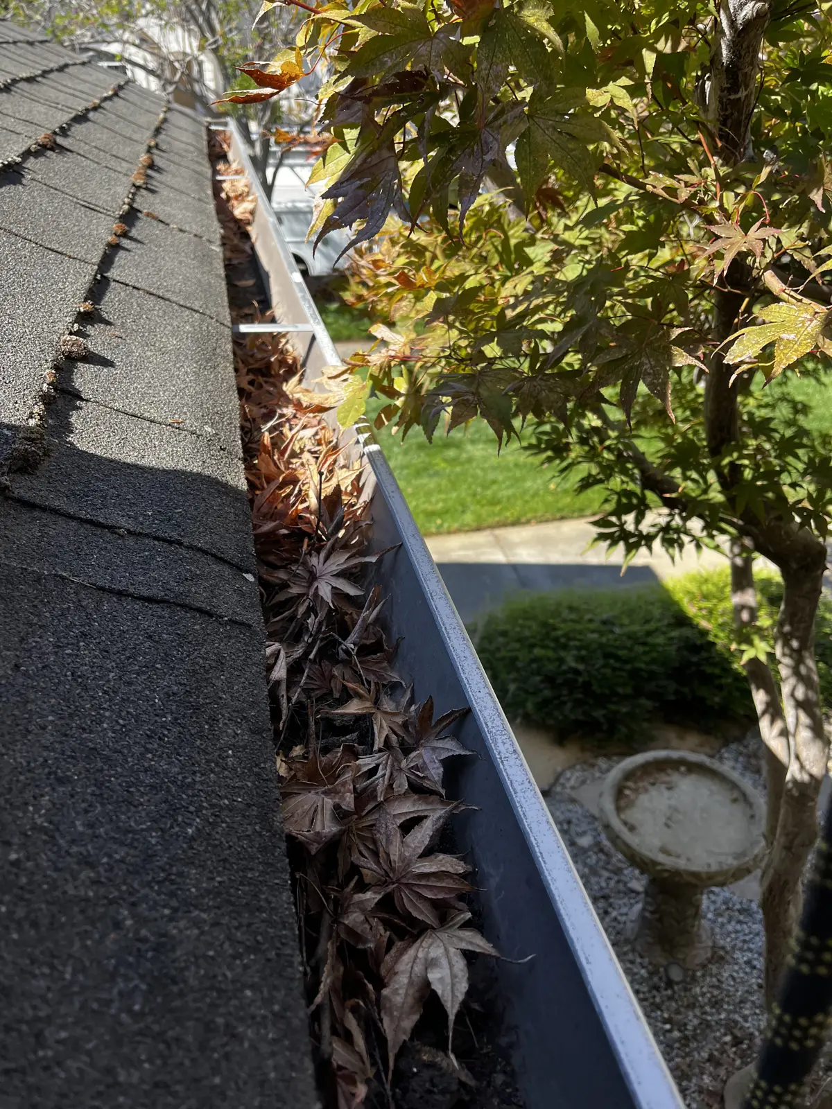 Fall leaves packed inside a residential gutter along the shingle roofline